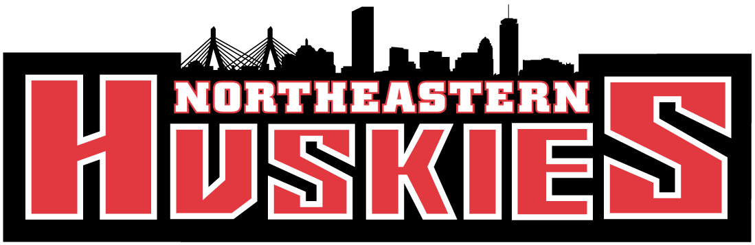 Northeastern Huskies 2001-Pres Wordmark Logo v2 diy DTF decal sticker